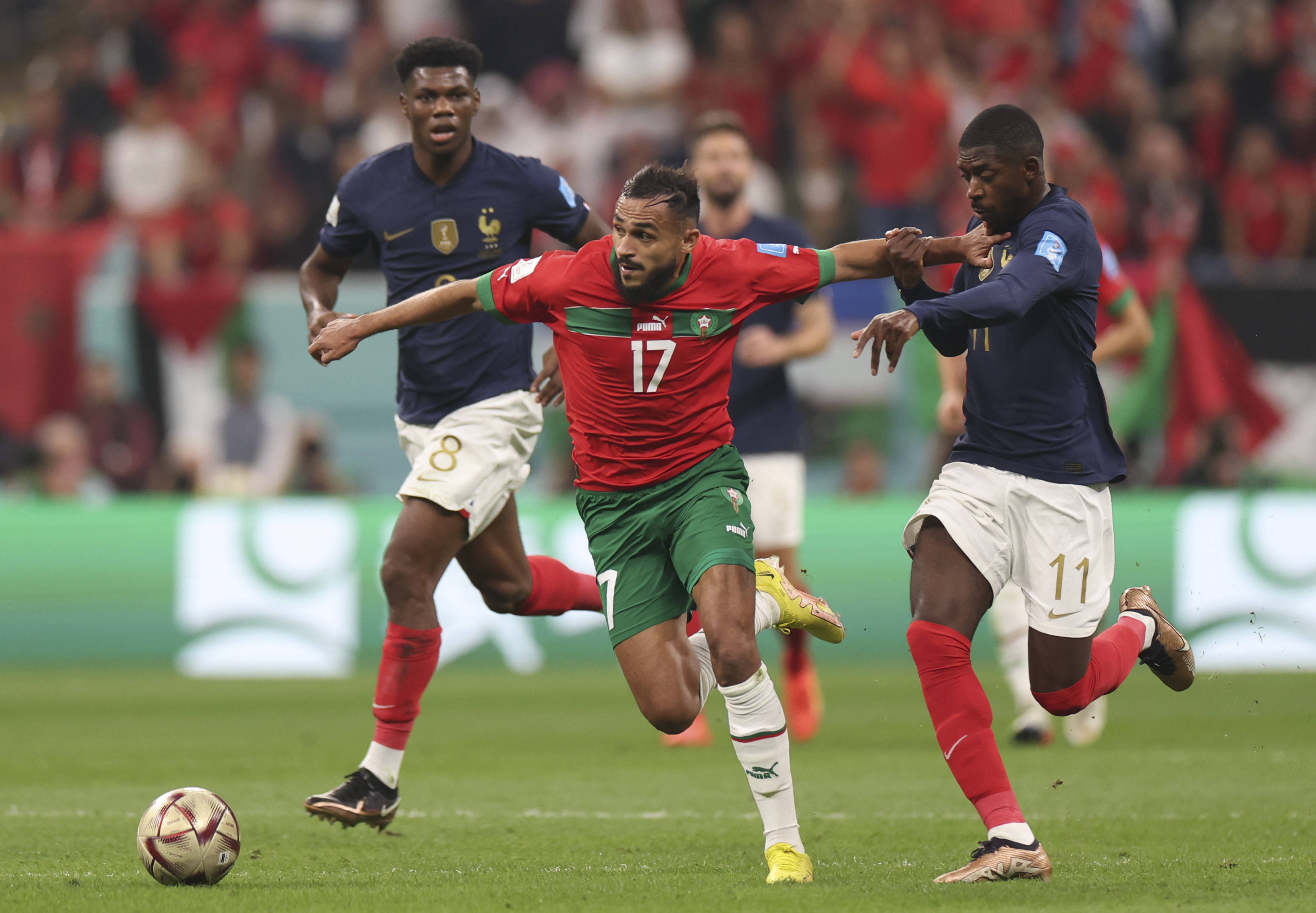 在这些联赛 在这些联赛